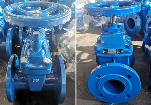 以色列某公司采購般德蝶閥、閘閥等產(chǎn)品