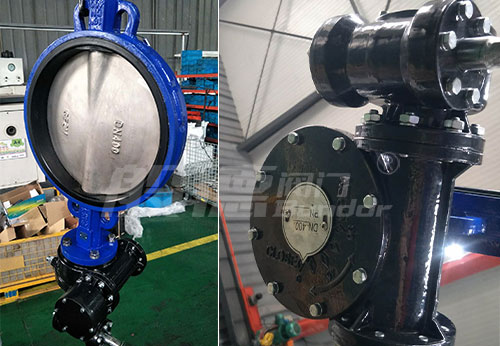 般德蝶閥、蝶式止回閥等出口秘魯