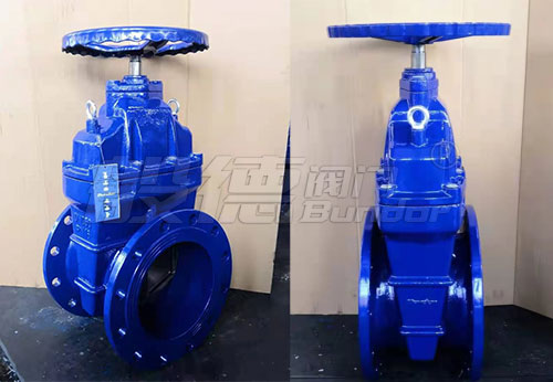 般德閘閥、過(guò)濾器、橡膠接頭等產(chǎn)品出口南非