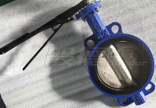 般德手柄蝶閥、軟密封閘閥等產(chǎn)品出口南非