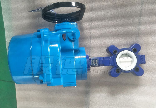 般德閥門LT蝶閥、單板止回閥出口智利