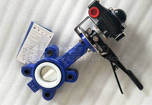 般德閥門襯氟蝶閥、單板止回閥出口智利